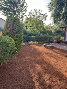 Backyard view showing newly mulched garden area with shrubs and patio, providing a clean and low-maintenance look.