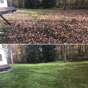 Before and after photos of a fall yard cleanup showing leaves removed and a clean, green lawn restored.