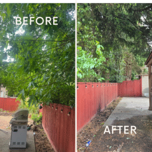 Before and after photos showing tree and shrub trimming along a red fence, clearing overgrowth and opening the yard.